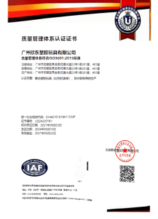 ISO9001-shindorn-cn ISO9001-shindorn-cn